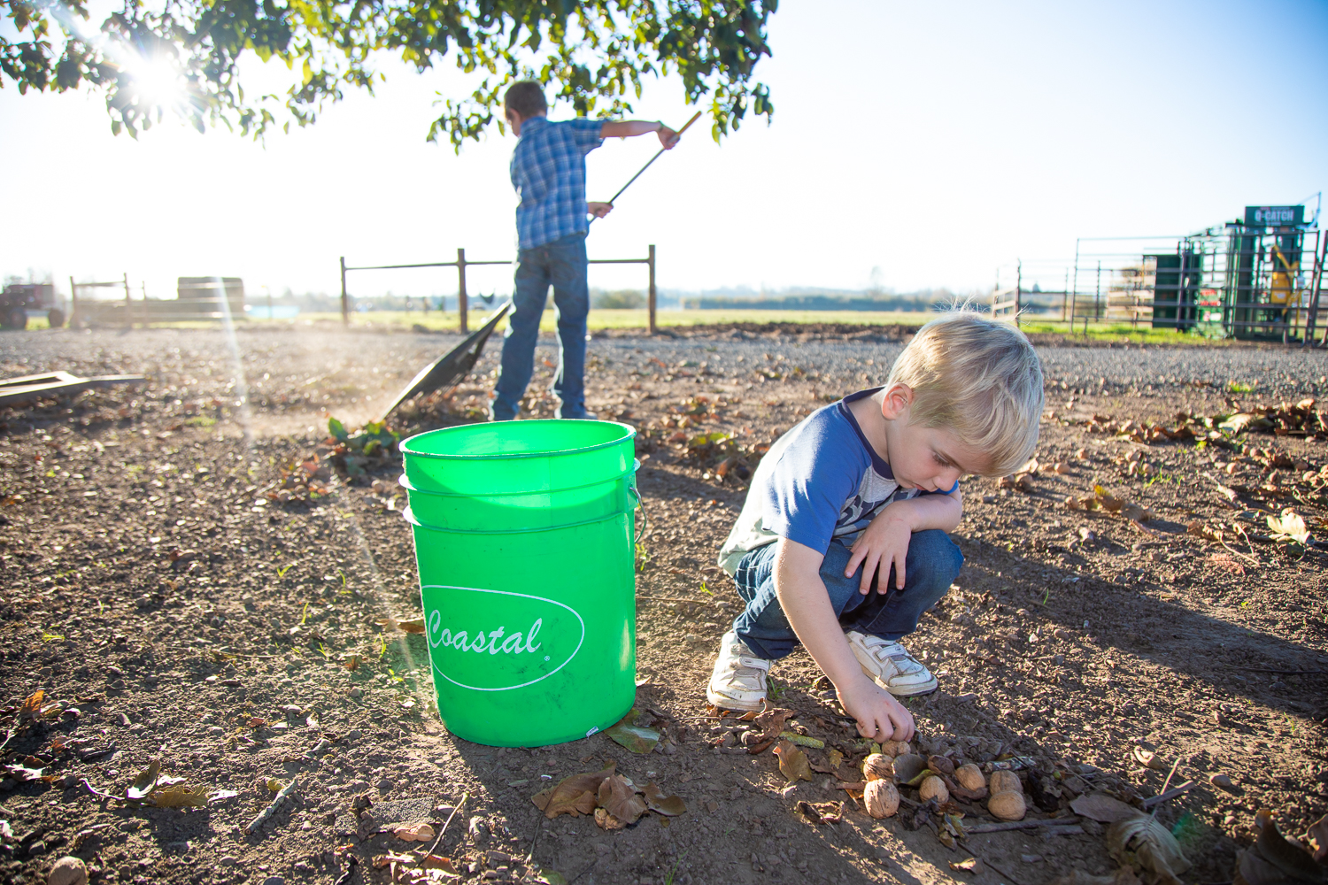 CFR-GardeningwithGreta-Walnuts.jpg