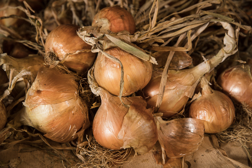 Curing Onions