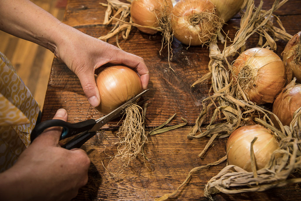 Curing Onions