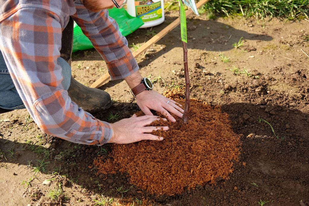 Mulch on top