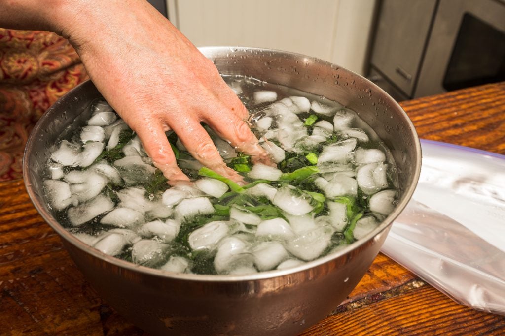 Canning Green Beans