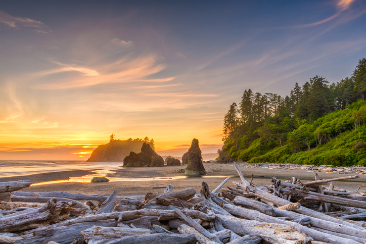 OlympicNationalPark.jpg